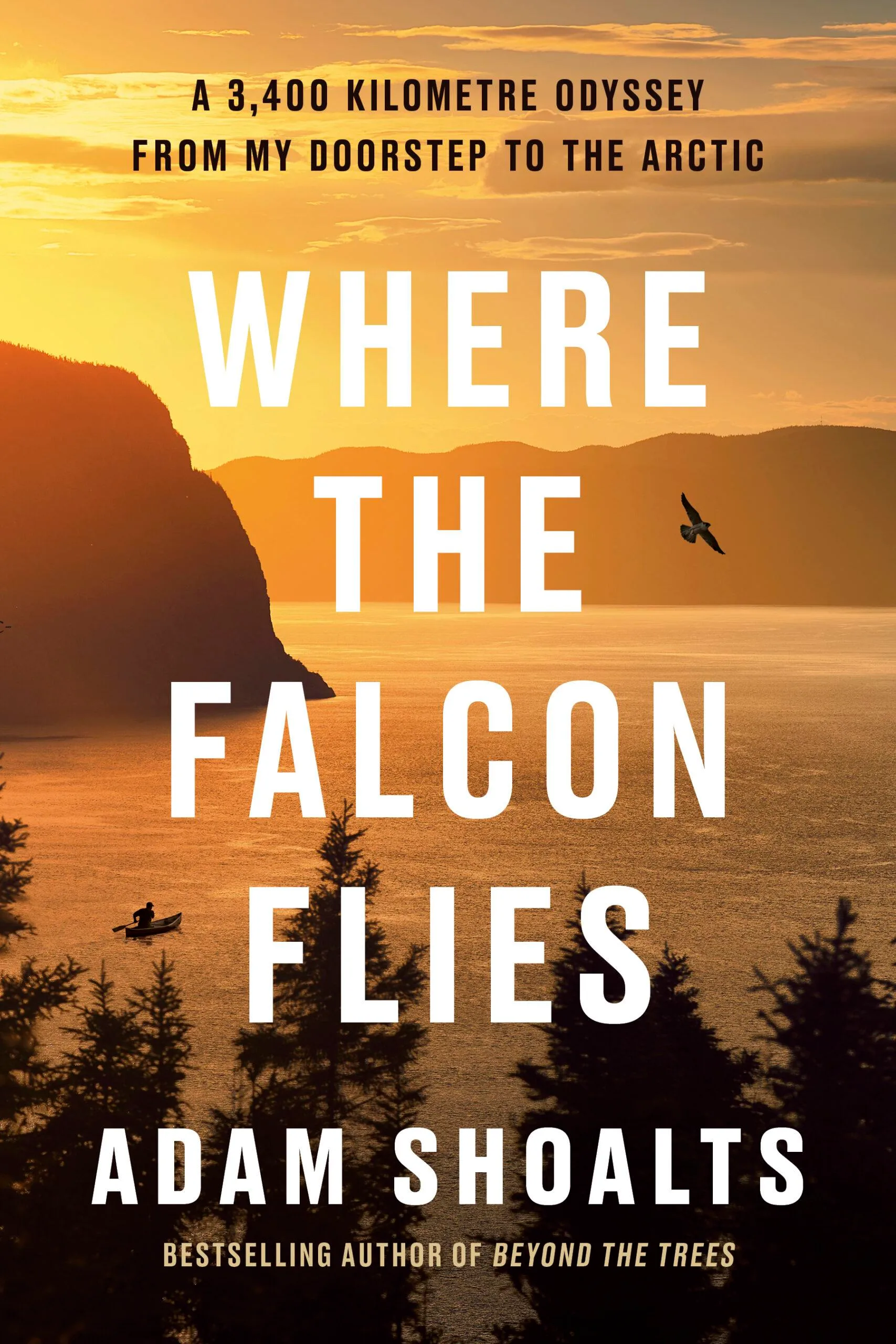Where the Falcon Flies 